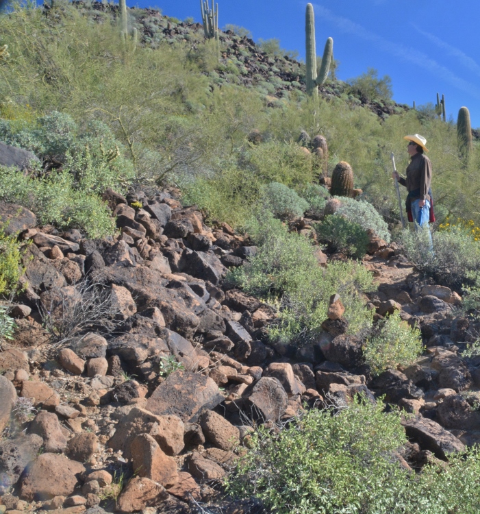 checking out the ascent